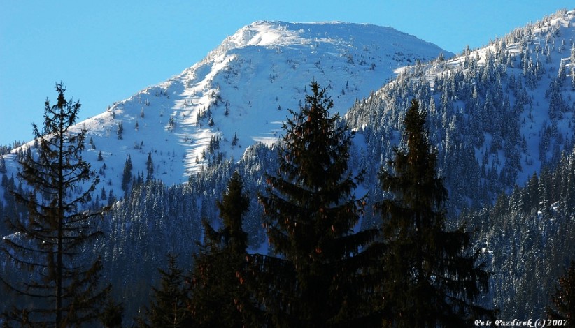 Pohled z Oravice I